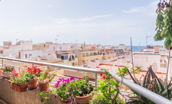 Reventa - 1. Apartamento / piso - Torrevieja - Curva del Palangre