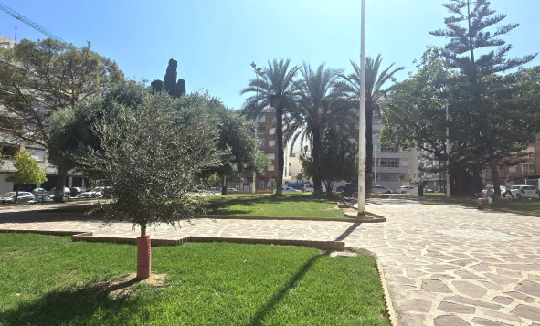 Reventa - 1. Apartamento / piso - Torrevieja - Costa Blanca Sur