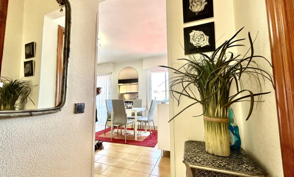 Herverkoop - 1. Appartement / flat - Torrevieja - Costa Blanca Zuid
