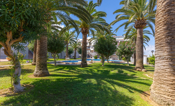 Herverkoop - 1. Appartement / flat - La Mata - Costa Blanca Zuid