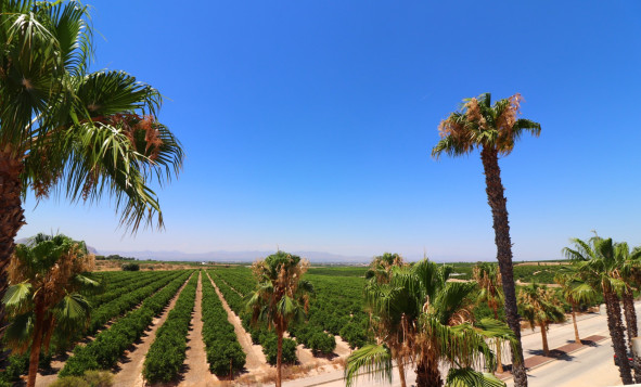 Herverkoop - 4. Halfvrijstaande villa - Algorfa - Costa Blanca Zuid