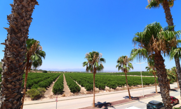 Herverkoop - 4. Halfvrijstaande villa - Algorfa - Costa Blanca Zuid