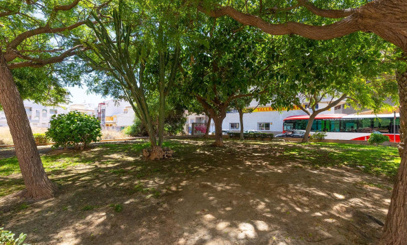 Herverkoop - 1. Appartement / flat - Torrevieja - Costa Blanca Zuid