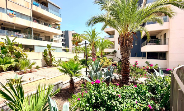 Herverkoop - 1. Appartement / flat - Orihuela Costa - Costa Blanca Zuid