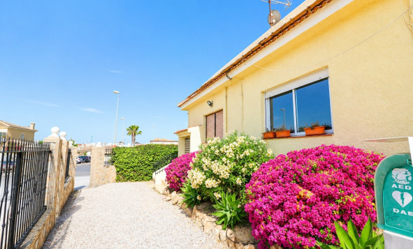 Herverkoop - Commercial (Rental) - Ciudad Quesada - Costa Blanca Zuid