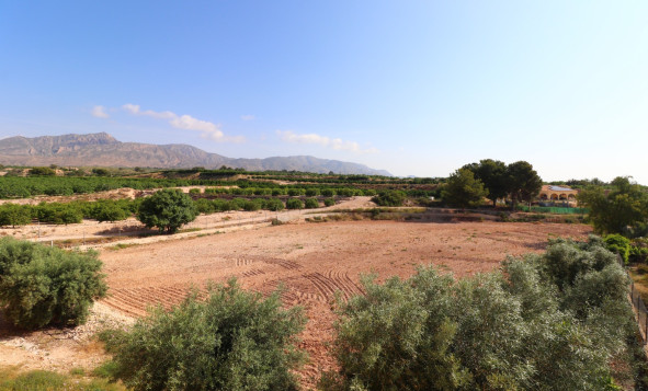 Herverkoop - 7. Finca / landhuis - Albatera - Albatera - Country