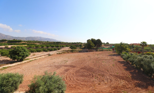 Herverkoop - 7. Finca / landhuis - Albatera - Albatera - Country
