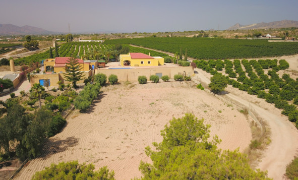Herverkoop - 7. Finca / landhuis - Albatera - Albatera - Country