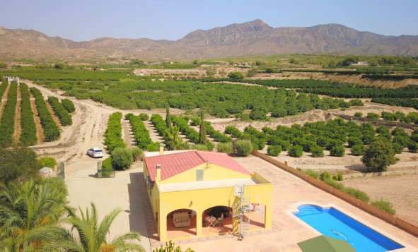 Herverkoop - 7. Finca / landhuis - Albatera - Albatera - Country