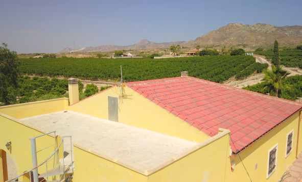 Herverkoop - 7. Finca / landhuis - Albatera - Albatera - Country