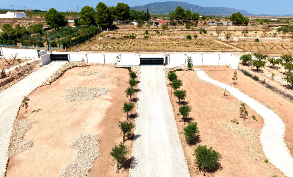 Herverkoop - 3. Vrijstaande villa - Pinoso - Costa Blanca Noord