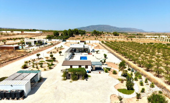 Herverkoop - 3. Vrijstaande villa - Pinoso - Costa Blanca Noord