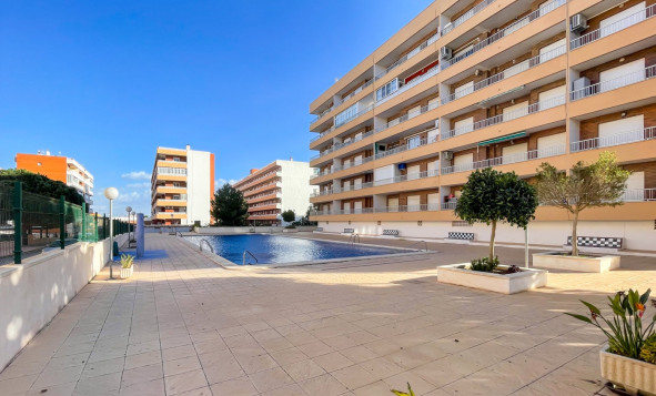 Alquiler a corto plazo - Apartment - Punta Prima - Orihuela Costa