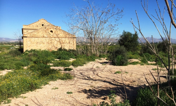 Resale - 5. Finca / Country Property - La Matanza - Orihuela