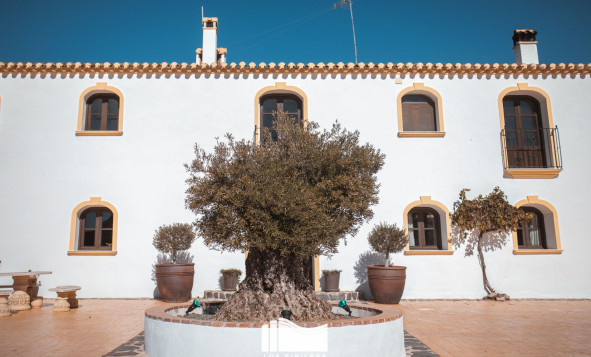 Resale - Country Property - Lorca - Balsicas