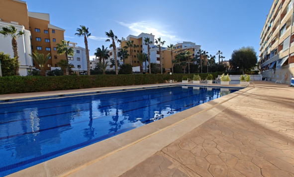 Herverkoop - Appartement - Orihuela Costa