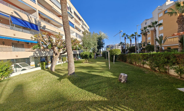 Herverkoop - Appartement - Orihuela Costa