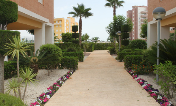 Resale - Apartment - Guardamar del Segura - Guardamar