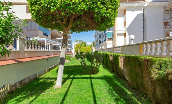 Resale - Apartment - Torrevieja