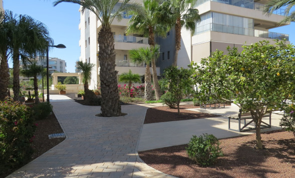 Resale - 1. Apartment / flat - Orihuela Costa