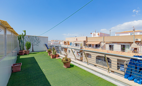 Resale - Apartment - Torrevieja