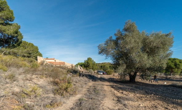 Herverkoop - Country Property - Pilar de la Horadada