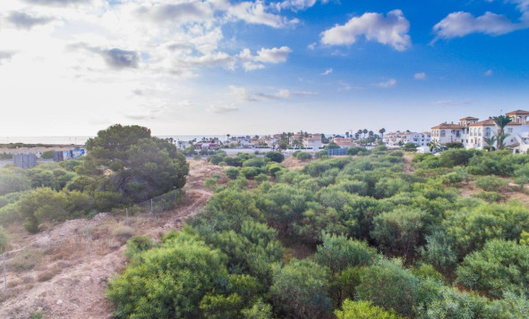 Obra nueva - Apartment - Orihuela Costa