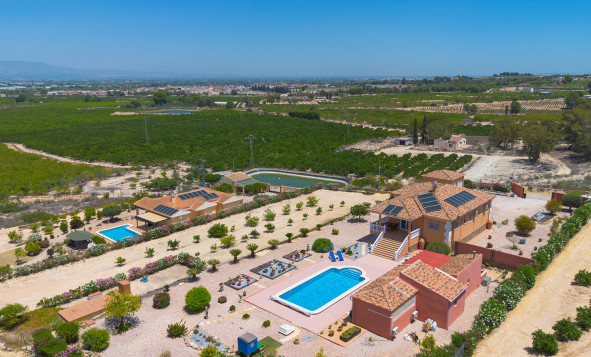 Herverkoop - Villa - Jacarilla - Orihuela