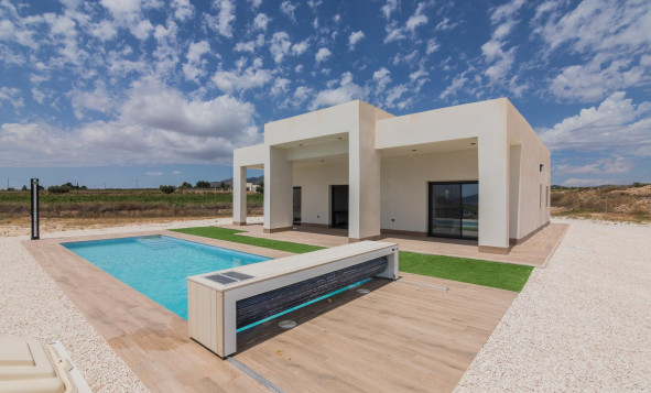 New Build - Villa - Pinoso