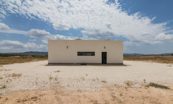 Nieuwbouw Woningen - Villa - Pinoso - Campo