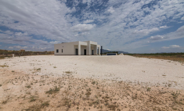 Nieuwbouw Woningen - Villa - Pinoso - Campo