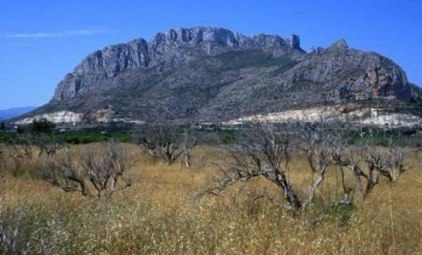 Obra nueva - Villa - El Verger - Denia