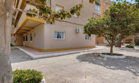 Herverkoop - Appartement - Guardamar del Segura - Guardamar