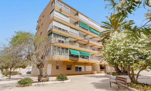 Herverkoop - Appartement - Guardamar del Segura - Guardamar