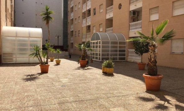 Resale - Apartment - Torrevieja