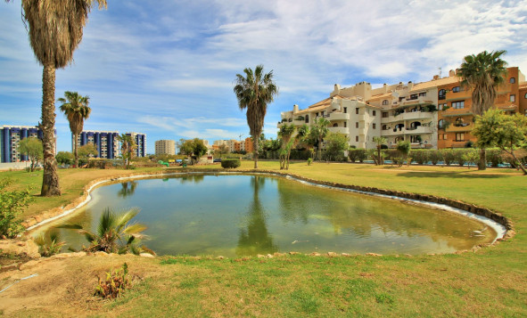 Herverkoop - Appartement - Punta Prima - Orihuela Costa