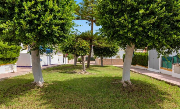 Reventa - Semi-detached - Torrevieja - Orihuela Costa