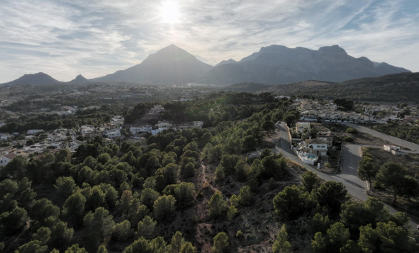 Obra nueva - Villa - L'alfas Del Pi - Benidorm