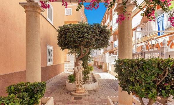 Reventa - Apartment - Torrevieja