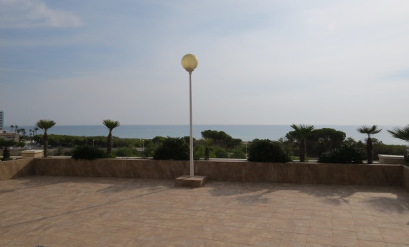 Resale - Apartment - Guardamar del Segura - Guardamar