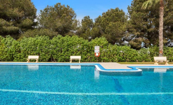 Herverkoop - 1. Appartement / flat - Torrevieja - Costa Blanca Zuid