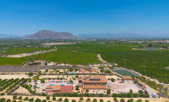 Herverkoop - Villa - Jacarilla - Orihuela