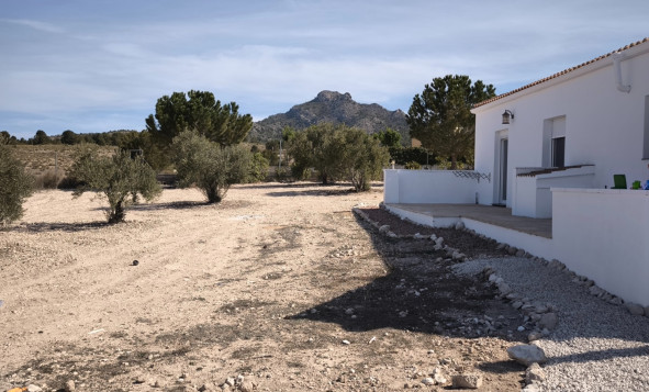 Resale - 4. House - Detached Villa - Salinas - Pinoso