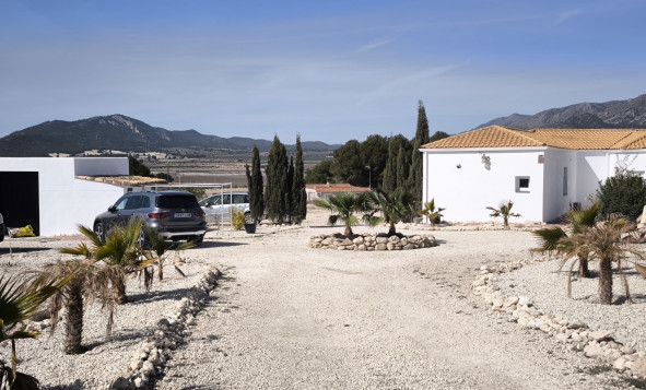 Resale - Villa - Salinas - Pinoso