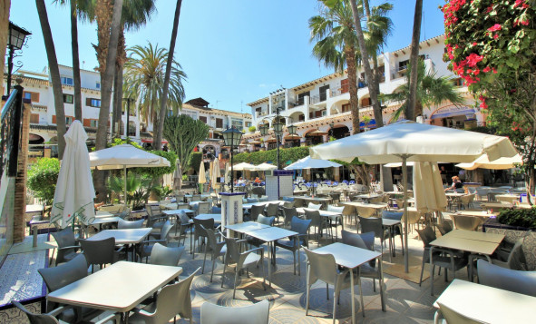 Resale - Apartment - Playa Flamenca - Orihuela Costa