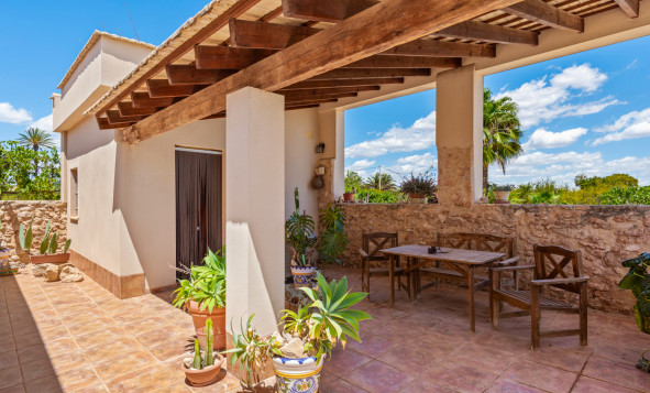 Resale - Country Property - Elche - Elche/Elx