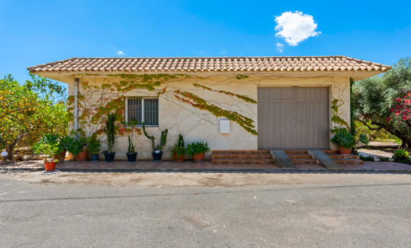 Resale - Country Property - Elche - Elche/Elx