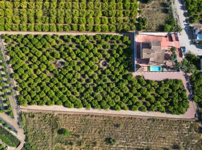 Finca / Country Property · Reventa - Orihuela · Alicante · España