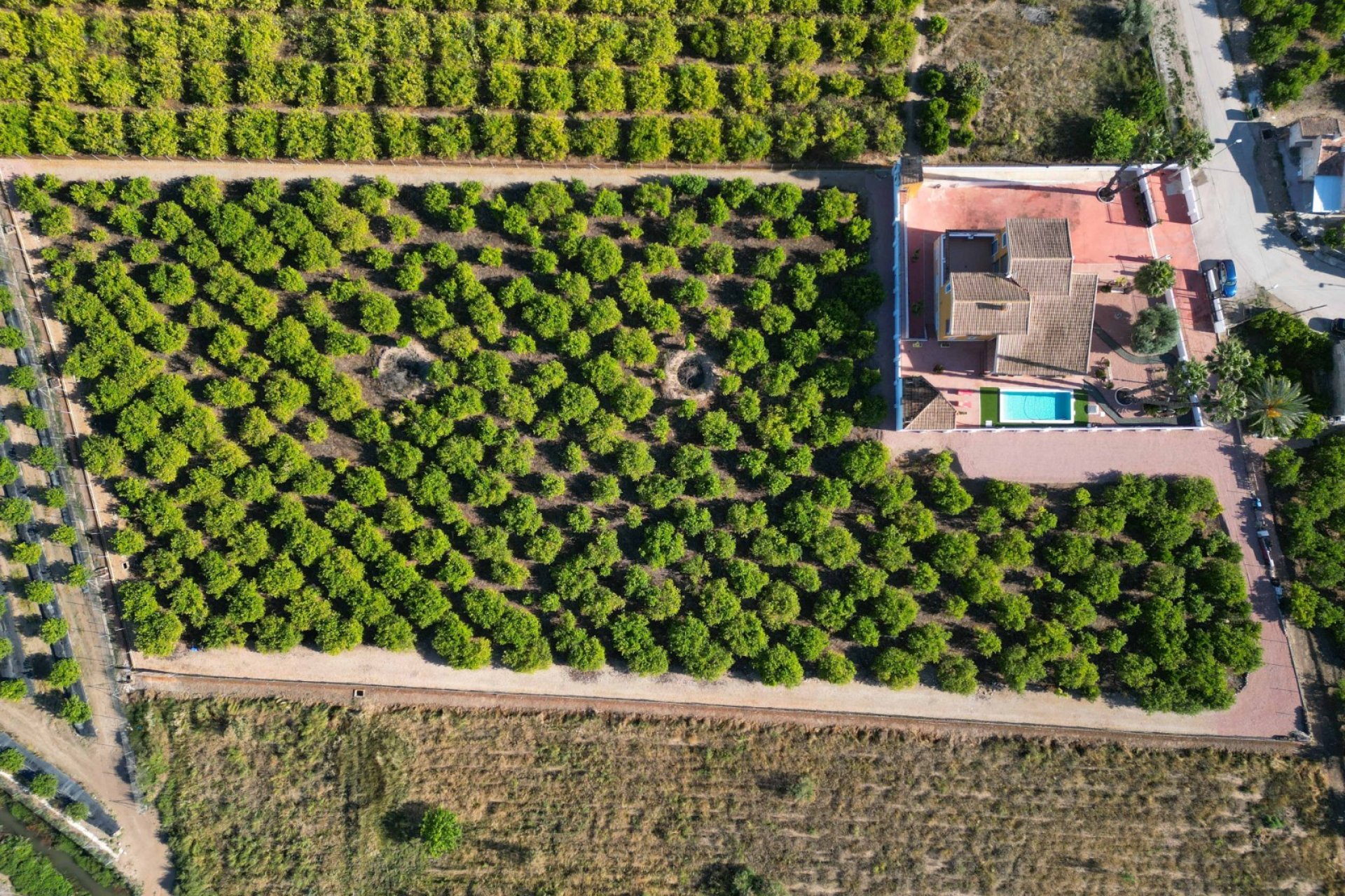 Resale - Finca / Country Property - Orihuela - Costa Blanca South