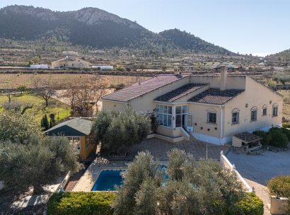 Finca / Country Property · Resale - La Zarza · Murcia · Spain